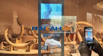 黑龍江大慶博物館 | OLED透明滑軌屏