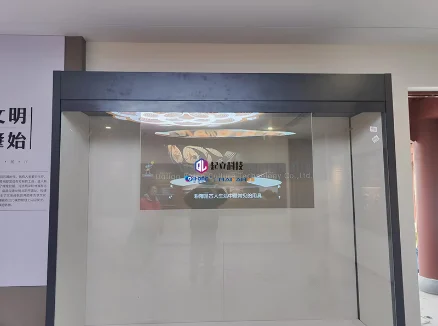 天鵝湖國家旅游度假區 | 展柜OLED透明屏